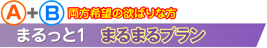 両方希望の欲ばりな方